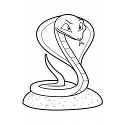 Coloring page: Snake (Animals) #14397 - Printable coloring pages