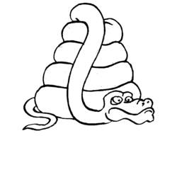 Coloring page: Snake (Animals) #14402 - Free Printable Coloring Pages