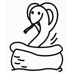 Coloring page: Snake (Animals) #14443 - Free Printable Coloring Pages