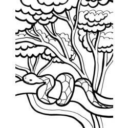 Coloring page: Snake (Animals) #14453 - Free Printable Coloring Pages