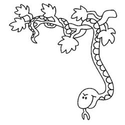 Coloring page: Snake (Animals) #14466 - Free Printable Coloring Pages