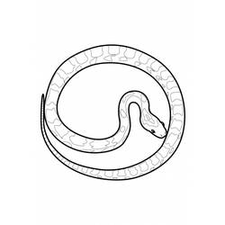 Coloring page: Snake (Animals) #14482 - Free Printable Coloring Pages