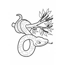 Coloring page: Snake (Animals) #14486 - Free Printable Coloring Pages