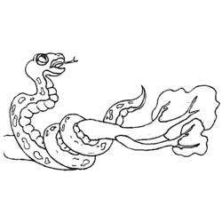 Coloring page: Snake (Animals) #14502 - Free Printable Coloring Pages