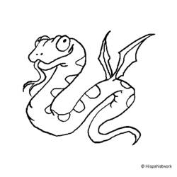 Coloring page: Snake (Animals) #14515 - Free Printable Coloring Pages
