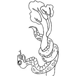 Coloring page: Snake (Animals) #14525 - Free Printable Coloring Pages