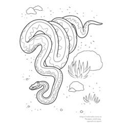 Coloring page: Snake (Animals) #14529 - Free Printable Coloring Pages