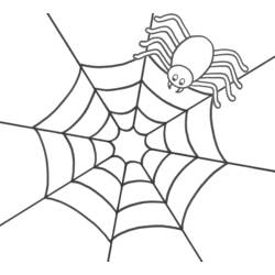 Coloring pages: Spider - Free Printable Coloring Pages