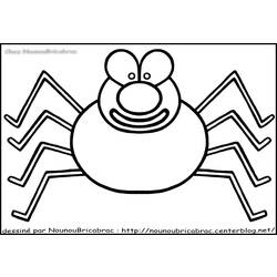Coloring page: Spider (Animals) #592 - Printable coloring pages