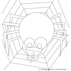 Coloring page: Spider (Animals) #600 - Printable coloring pages