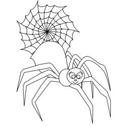 Coloring page: Spider (Animals) #630 - Printable coloring pages