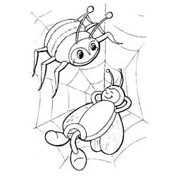 Coloring page: Spider (Animals) #654 - Printable coloring pages