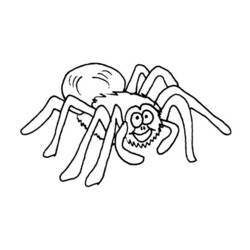 Coloring page: Spider (Animals) #656 - Printable coloring pages