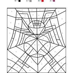Coloring page: Spider (Animals) #658 - Printable coloring pages