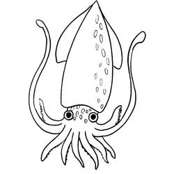 Coloring pages: Squid - Free Printable Coloring Pages