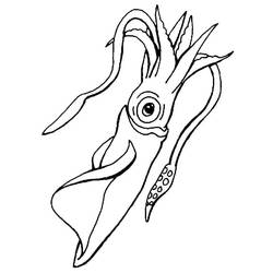Coloring page: Squid (Animals) #208866 - Free Printable Coloring Pages
