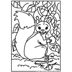Coloring page: Squirrel (Animals) #6100 - Free Printable Coloring Pages