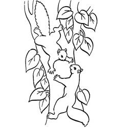 Coloring page: Squirrel (Animals) #6104 - Free Printable Coloring Pages
