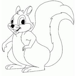 Coloring page: Squirrel (Animals) #6105 - Printable coloring pages