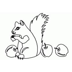 Coloring page: Squirrel (Animals) #6124 - Free Printable Coloring Pages