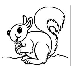 Coloring page: Squirrel (Animals) #6138 - Free Printable Coloring Pages