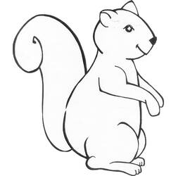 Coloring page: Squirrel (Animals) #6139 - Printable coloring pages