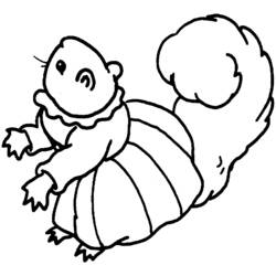 Coloring page: Squirrel (Animals) #6148 - Free Printable Coloring Pages