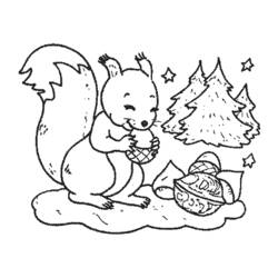 Coloring page: Squirrel (Animals) #6155 - Free Printable Coloring Pages