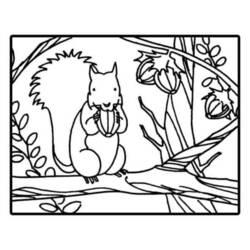 Coloring page: Squirrel (Animals) #6159 - Free Printable Coloring Pages