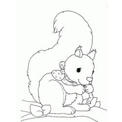 Coloring page: Squirrel (Animals) #6175 - Free Printable Coloring Pages