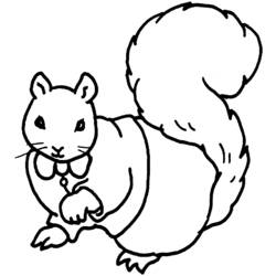 Coloring page: Squirrel (Animals) #6177 - Free Printable Coloring Pages