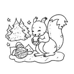 Coloring page: Squirrel (Animals) #6188 - Free Printable Coloring Pages