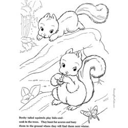 Coloring page: Squirrel (Animals) #6191 - Free Printable Coloring Pages