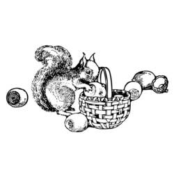 Coloring page: Squirrel (Animals) #6193 - Free Printable Coloring Pages