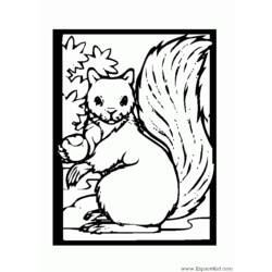 Coloring page: Squirrel (Animals) #6195 - Free Printable Coloring Pages