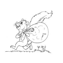 Coloring page: Squirrel (Animals) #6198 - Free Printable Coloring Pages