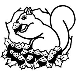 Coloring page: Squirrel (Animals) #6201 - Free Printable Coloring Pages