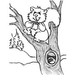 Coloring page: Squirrel (Animals) #6204 - Free Printable Coloring Pages