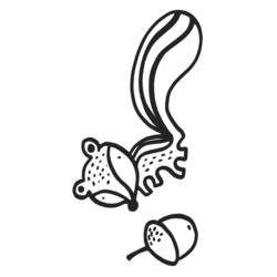 Coloring page: Squirrel (Animals) #6224 - Free Printable Coloring Pages