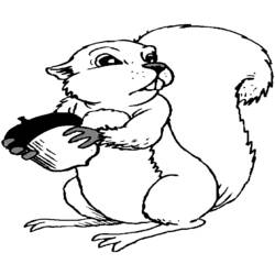 Coloring page: Squirrel (Animals) #6228 - Free Printable Coloring Pages