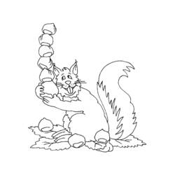Coloring page: Squirrel (Animals) #6233 - Free Printable Coloring Pages