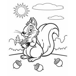 Coloring page: Squirrel (Animals) #6239 - Free Printable Coloring Pages