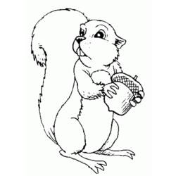 Coloring page: Squirrel (Animals) #6242 - Printable coloring pages