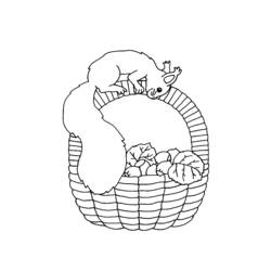 Coloring page: Squirrel (Animals) #6243 - Free Printable Coloring Pages