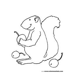 Coloring page: Squirrel (Animals) #6250 - Free Printable Coloring Pages