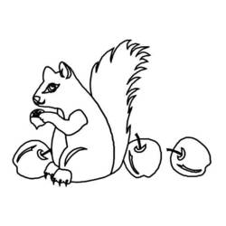 Coloring page: Squirrel (Animals) #6255 - Free Printable Coloring Pages