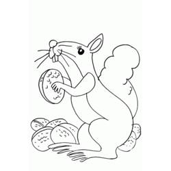 Coloring page: Squirrel (Animals) #6256 - Free Printable Coloring Pages