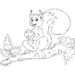 Coloring page: Squirrel (Animals) #6258 - Free Printable Coloring Pages