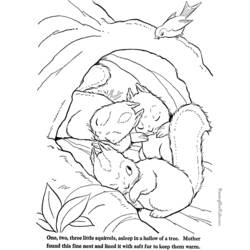 Coloring page: Squirrel (Animals) #6267 - Free Printable Coloring Pages