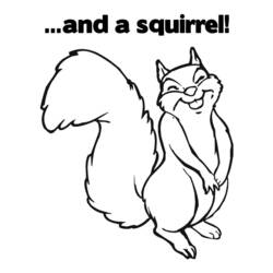Coloring page: Squirrel (Animals) #6272 - Free Printable Coloring Pages